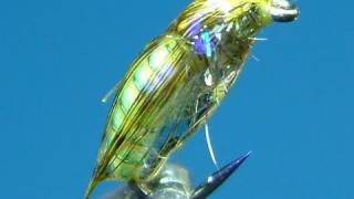 Tying a Small Chunky Caddis Pupa by Davie McPhail [upl. by Tahmosh863]