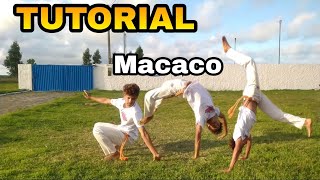 Capoeira Tutorial 16 Macaco  Macaquinho  Pulo do Macaco [upl. by Aidin]