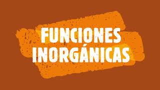 FUNCIONES INÓRGANICAS [upl. by Thad576]