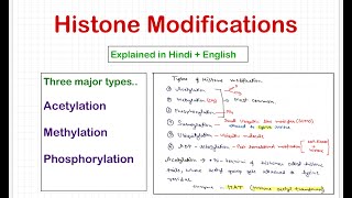 Histone Modifications [upl. by Kidder]