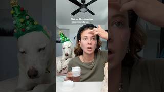 Help me Christmas tree shop🎄🎄 dogshorts grwm makeup dog pets christmas holidays puppy [upl. by Neema]