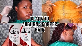 Dying my Natural Hair AuburnCopper  Black to Aubrun hair  Adore Cajun Spice Copper Brown [upl. by Craggie]