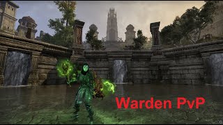 Warden PVP  ESO U44 PC EU [upl. by Reseta879]