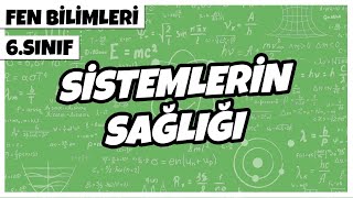 6 Sınıf Fen Bilimleri  Sistemlerin Sağlığı  2022 [upl. by Cressy]