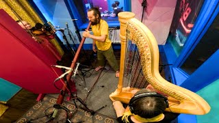 Live Improvisation with Didgeridoo Violin and Harp – A Tranquil Soundscape with Surprising Turns [upl. by Artinad]