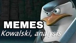 KOWALSKI ANALYSIS MEMES COMPILATION [upl. by Eldwun]