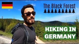 My FAVORITE HIKING spot  Germanys BLACK FOREST [upl. by Hummel]