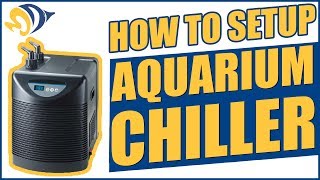 How to Setup an Aquarium Chiller [upl. by Jaquenette]