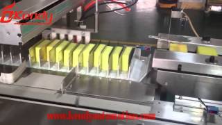 Automatic Sponge Flow Packaging Line [upl. by Drislane]