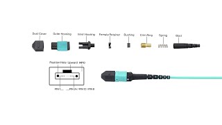 How to distinguish MPO and MTP fiber cable [upl. by Ttocserp737]