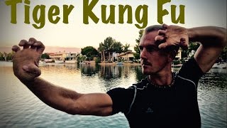 REAL Tiger Kung Fu Kata  YouTube CHALLENGE [upl. by Sandstrom]