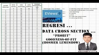 Cara Section GoodnessOfFitTest Hosmer Lemeshow  Probit Data Cross Section  Eviews 9 Part2 [upl. by Xuaegram]