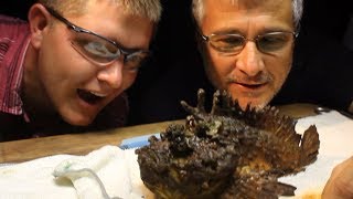 Milking the WORLDS MOST VENOMOUS FISH  Smarter Every Day 117 [upl. by Ahsikat]