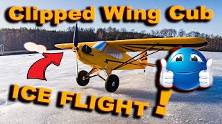 EFlite Clipped Wing Cub  Winter ice flight with new prop [upl. by Arocat146]