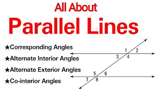 All about Parallel Lines  Corresponding Angles Alternate interior angles Cointerior angles [upl. by Nary]