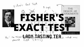 Fishers Exact Test  Lady Tasting Tea [upl. by Nohtanhoj]