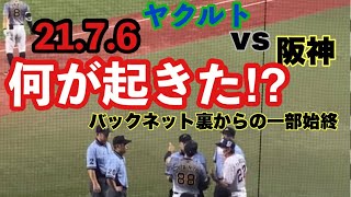 【ヤクルトvs阪神】サイン盗み疑惑⁉︎バックネット裏からの一部始終⚾️5回表 打者佐藤輝明 ランナー近本光司 村上宗隆 高津監督 矢野監督口論サイン盗み 阪神タイガース ヤクルトスワローズ [upl. by Atnima]