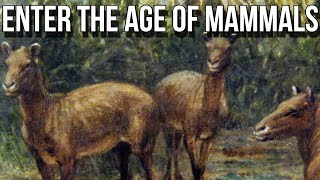 Dawn of the Age of Mammals [upl. by Stempson980]