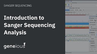 Introduction to Sanger Sequencing Analysis in Geneious Prime [upl. by Nagol53]