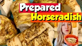 Prepared Horseradish Homemade Horseradish Recipe [upl. by Olnee]