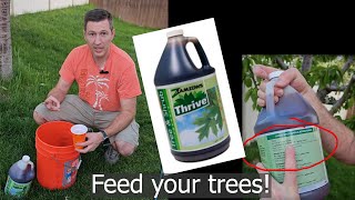 How to fertilize a tree with liquid fertilizer Apply Thrive from Zamzows [upl. by Akinna]