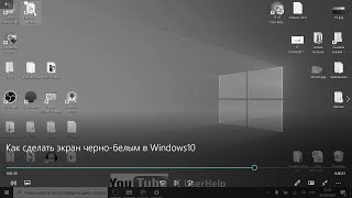 Как сделать экран чернобелым в Windows10 [upl. by Ayiak304]