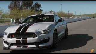 Ford Mustang Shelby GT350R  TESTDRIVE [upl. by Kendry349]