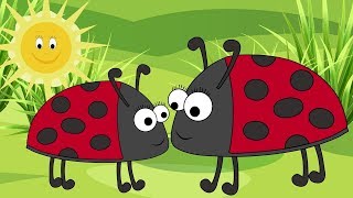 Ladybird Ladybird Fly Away Home Nursery Rhyme for Babies and Toddlers from Sing and Learn [upl. by Erait875]