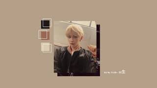 1시간 1 HOUR LOOP Stray Kids quot神메뉴quot Gods Menu [upl. by Nata]