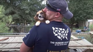 South Carolina Puppy Mill Rescue [upl. by Lawrence]