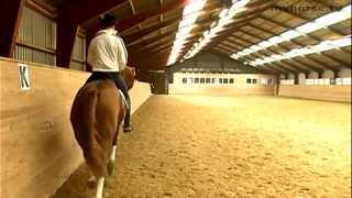 Dressage Exercise  Shoulder in [upl. by Petie992]