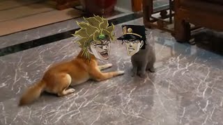 DIO vs Jotaro [upl. by Adnirb]