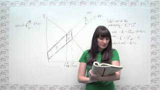 Microeconomics Practice Problem  The Cost of Externalities and the Logic of Corrective Taxes [upl. by Streeter]