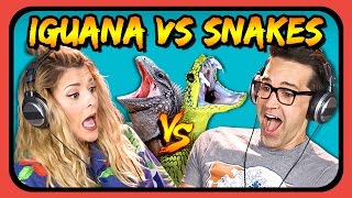 YOUTUBERS REACT TO IGUANA VS SNAKES [upl. by Oleg]