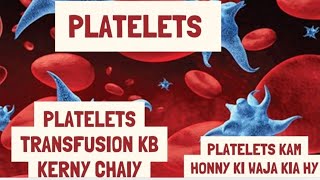 What is the PLATELETs and Function  PLATELETS kB Transfusion kerny chaiy CRITICAL CONCEPT [upl. by Nadnal631]