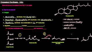 Cholesterol Synthesis Part 1 of 6  Intro [upl. by Rivard]