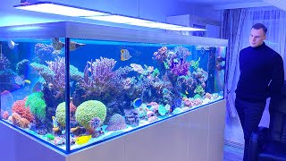 GERMAN REEF TANKS  quotnext levelquot Reef Aquarium TOUR  1500 liter  400 gallon  Acanthurus Achilles [upl. by Scherle4]