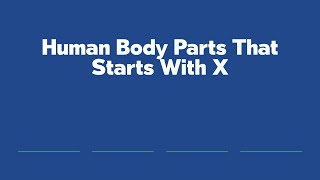 Human Body Parts That Starts With X [upl. by Danice73]