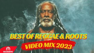 20192021 Best Of Reggae Riddims Mix Chris MartinJah CureBusyTurbulenceSizzlaRomain VirgoAlain [upl. by Cower965]