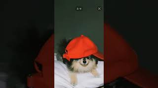 Yeontan baby 🥰 song music yeontan bts btsarmy bdarmy foryou [upl. by Blakely149]