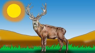 How to Draw a Realistic Deer Step by Step  How to do Pencil Shading  Easy Play Doh [upl. by Yelrebmyk]