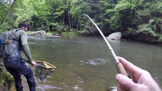 TROUT Fishing with GULP Minnows [upl. by Hamburger]