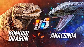 Komodo Dragon VS Anaconda [upl. by Lemon]