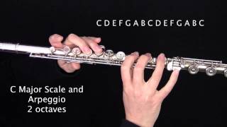 How to play the C Major Scale and Arpeggio on the Flute Learn Flute Online [upl. by Aisekal]