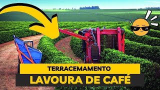 ✓ TERRACEAMENTO EM LAVOURA DE CAFÉ  Agricultura 🌱 [upl. by Arissa940]