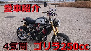 【愛車紹介】フルカスタム 4mini ゴリラ 250cc 45馬力 フルパワー 4mini モンキー ゴリラ 4気筒 [upl. by Takeshi153]