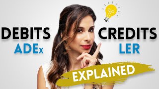 ACCOUNTING BASICS Debits and Credits Explained [upl. by Annaillil133]