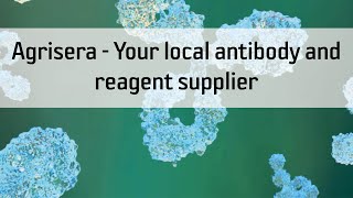 Agrisera  Your local antibody and reagent supplier [upl. by Eednyl546]