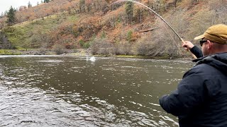 Crazy Day in Washington  Spey Fishing for Summer Steelhead [upl. by Weiner415]