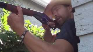 Daisy Air Rifle Review  Red Ryder Carbine 650 shot BB Rifle [upl. by Melli]